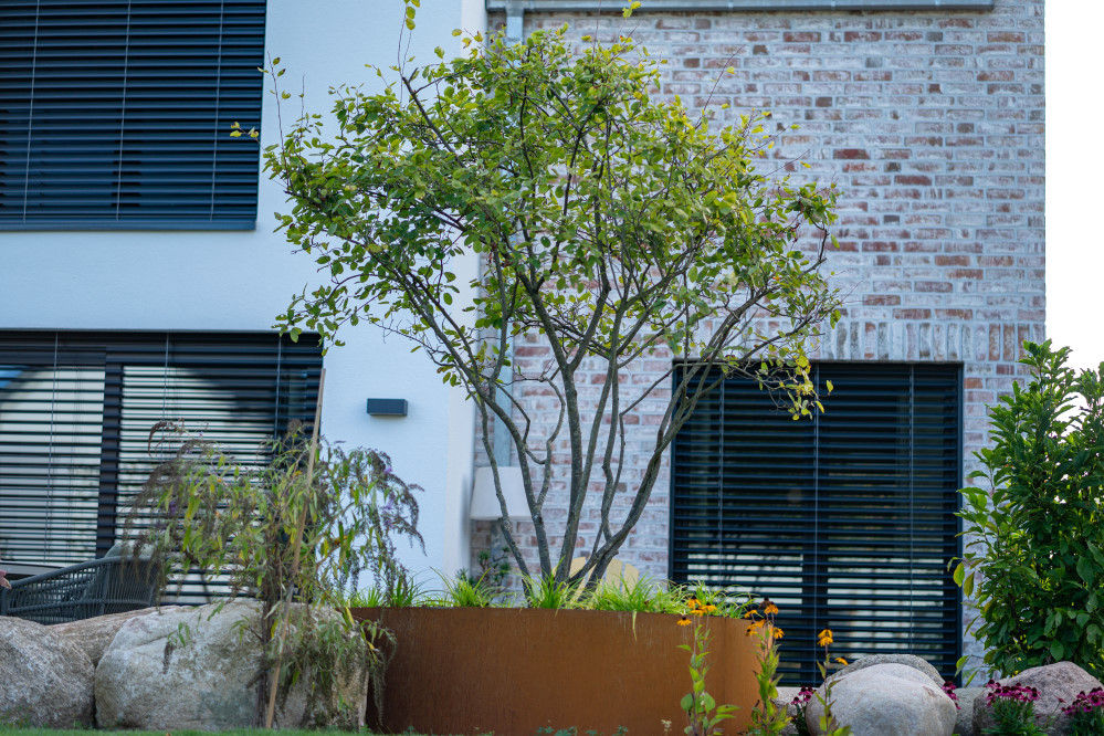 Finn-Oke Schultz - Modern trifft Natur